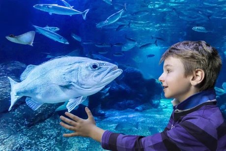 AquaDom and SEA LIFE - Attraction in Berlin