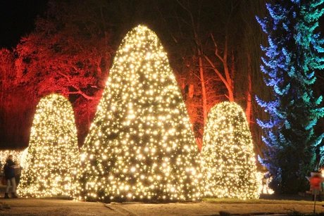 Christmas Garden Berlin im Botanischen Garten