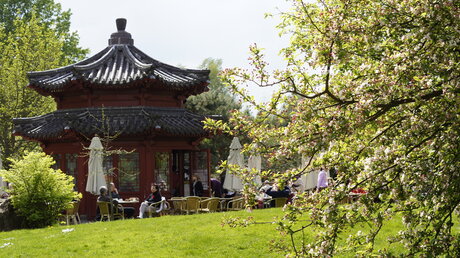 Temple in spring at the Gardens of the World Berlin Marzahn