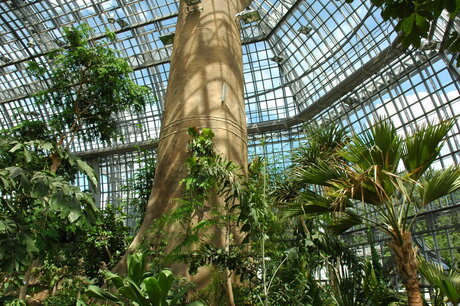 Jardín Botánico y Museo Botánico Berlín-Dahlem