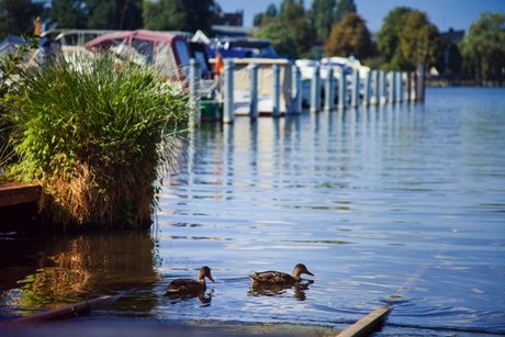 Bootsliegeplätze "Marina Wendeschloß"