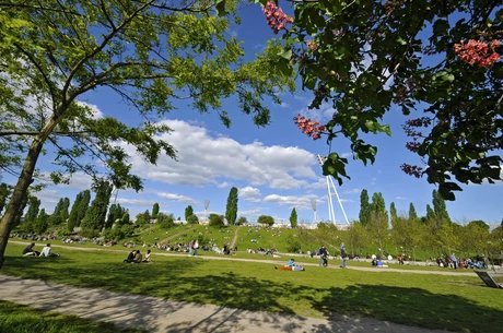Wiese im Berliner Mauerpark