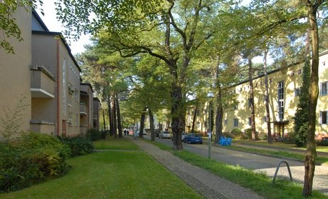 Waldsiedlung Zehlendorf - Onkel Toms Hütte -