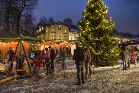 Nordische Märchenweihnacht