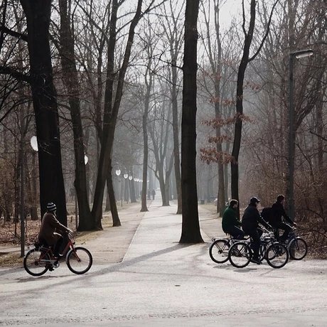 Winter im Tiergarten in Berlin