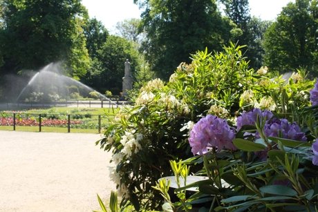 Luiseninsel im Tiergarten