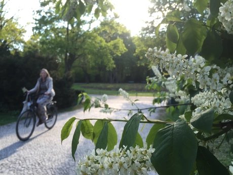 unterwegs mit dem Fahrrad in Berlin