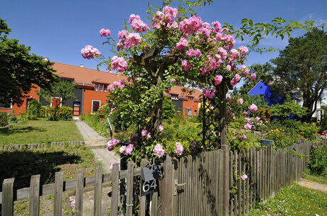 Blooming Gardens in the Garden City Falkenberg