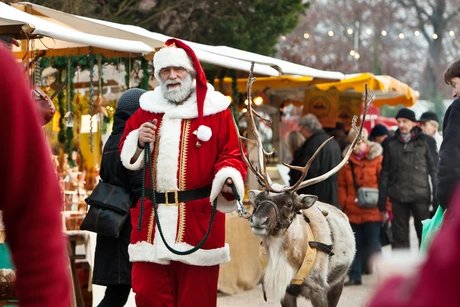 Weihnachtsmarkt Späthsche Baumschulen