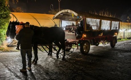 Weihnachtsmarkt Späth´sche Baumschulen