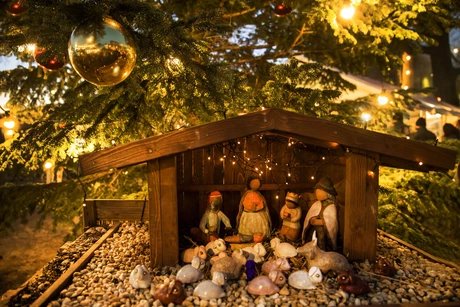 Weihnachtsmarkt Späth´sche Baumschulen