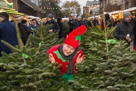 Weihnachtsmarkt Späth´sche Baumschulen