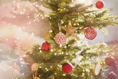 Weihnachtsbaum
