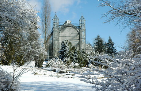 Schnee im Botanischer Garten und Botanisches Museum