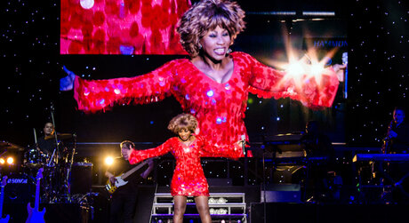 Stars in Concert Tina Turner