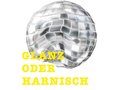 GLANZODERHARNISCH