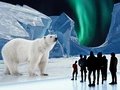 Polar Experience