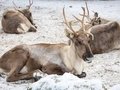 Winter im Zoo