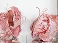Alina Kleytman, Serie Bioinstallation_Prosthesis, Kunststoff, Metall, 2023-23