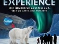 Polar Experience