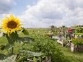 Garten auf dem Tempelhofer Feld