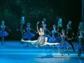 Der Nussknacker - Imperial Ballet & Live Orchestra - Musik: Peter I. Tschaikowsky Der Nussknacker - Imperial Ballet & Live Orchestra - Musik: Peter I. Tschaikowsky