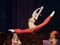 Der Nussknacker - Imperial Ballet & Live Orchestra - Musik: Peter I. Tschaikowsky Der Nussknacker - Imperial Ballet & Live Orchestra - Musik: Peter I. Tschaikowsky