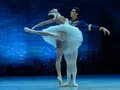 Schwanensee - Grand Classic Ballet - Die traditionelle Wintertournee Schwanensee - Grand Classic Ballet - Die traditionelle Wintertournee