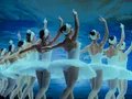 Schwanensee - Grand Classic Ballet - Die traditionelle Wintertournee Schwanensee - Grand Classic Ballet - Die traditionelle Wintertournee