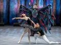 Schwanensee - Grand Classic Ballet - Die traditionelle Wintertournee Schwanensee - Grand Classic Ballet - Die traditionelle Wintertournee