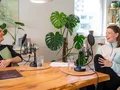 AUF TAKT! DAS PODCAST-KONZERT AUF TAKT! DAS PODCAST-KONZERT