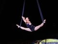 Scenic Circus: Diaries in Motion Scenic Circus: Diaries in Motion