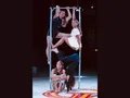 Scenic Circus: Diaries in Motion Scenic Circus: Diaries in Motion