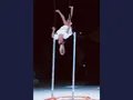 Scenic Circus: Diaries in Motion Scenic Circus: Diaries in Motion