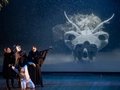 Die Zauberflöte