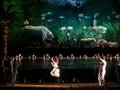 Die Zauberflöte