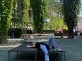 Öffentliche Ausstellung in Berlin-Mitte