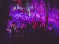 Silent Disco im Natur Park Südgelände