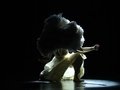 2. Internationales Koreanisch-Deutsches Tanzfestival 2. Internationales Koreanisch-Deutsches Tanzfestival