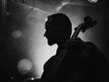 Feel Jazz