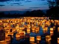 Water Lantern Festival Water Lantern Festival