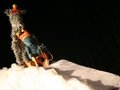 Das Glück, das nicht vom Baum fallen wollte Das Glück, das nicht vom Baum fallen wollte