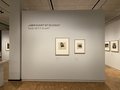 Blick in die Ausstellung im Käthe-Kollwitz-Museum Berlin Blick in die Ausstellung im Käthe-Kollwitz-Museum Berlin