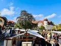 Platz für Kunst am Mexikoplatz Platz für Kunst am Mexikoplatz