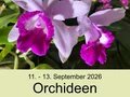 Orchideenausstellung im Neuen Glashaus des Botanischen Gartens