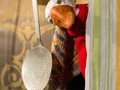Die Weihnachtsgans Auguste Die Weihnachtsgans Auguste