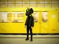 Rhinozeros – ein Comeback