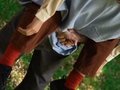 Carry & Care Carry & Care