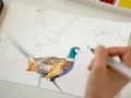 Skizzentagebuch für Vogelbeobachter Skizzentagebuch für Vogelbeobachter
