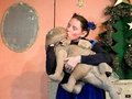Frau Schaum und ein Dinosaurier unterm Weihnachtsbaum Frau Schaum und ein Dinosaurier unterm Weihnachtsbaum